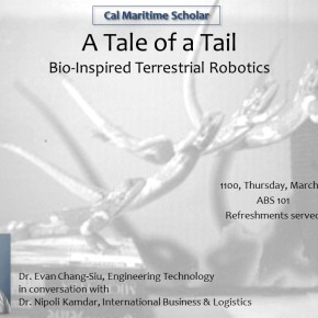 A Tale of a Tail: Bio-Inspired Terrestrial Robotics